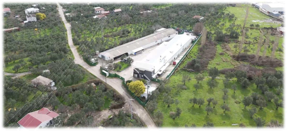 Aerial view of our facility